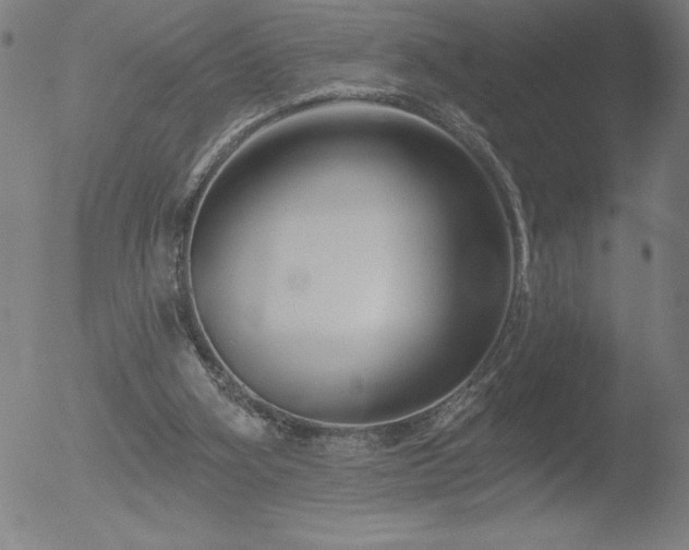 X0000052940106200507081154