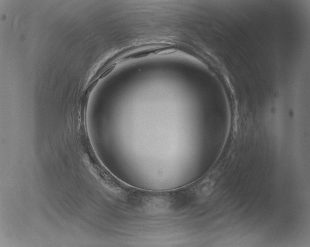 X0000052940107200507081154