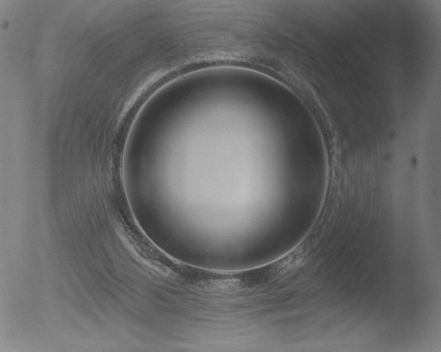 X0000052940108200507081154