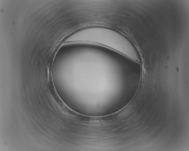 X0000052940109200507081154