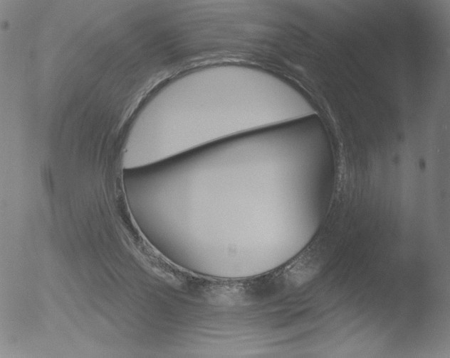 X0000052940110200507081154