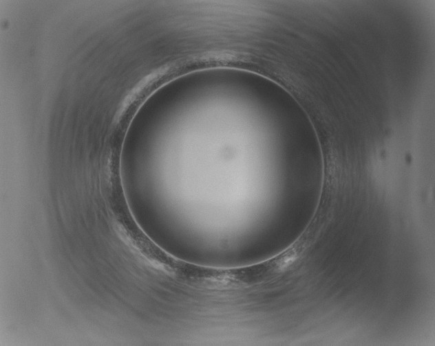 X0000052940112200507081154