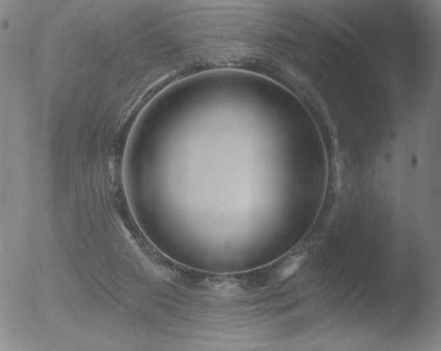 X0000052940113200507081154