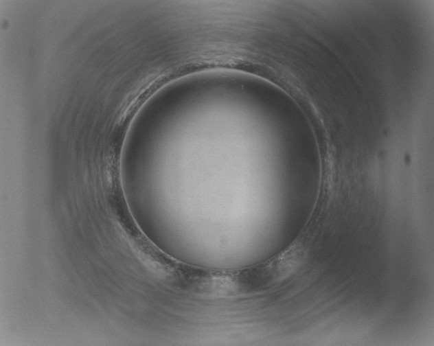 X0000052940114200507081154