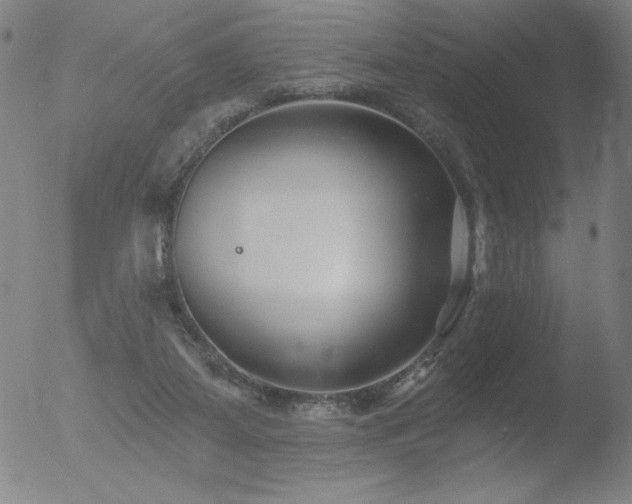 X0000052940115200507081154