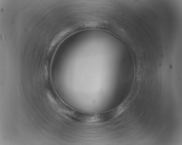 X0000052940116200507081154