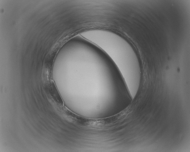 X0000052940117200507081154