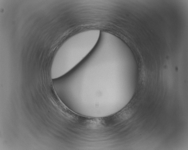 X0000052940118200507081154