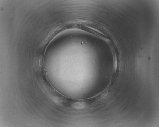 X0000052940119200507081154