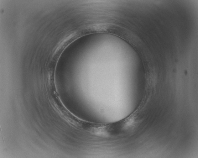 X0000052940120200507081154