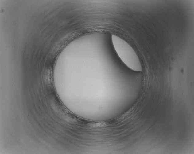 X0000052940122200507081154