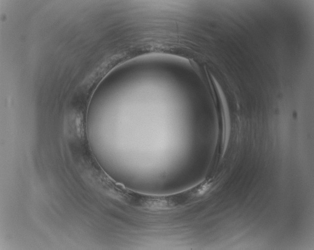 X0000052940123200507081154