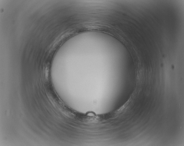 X0000052940124200507081154