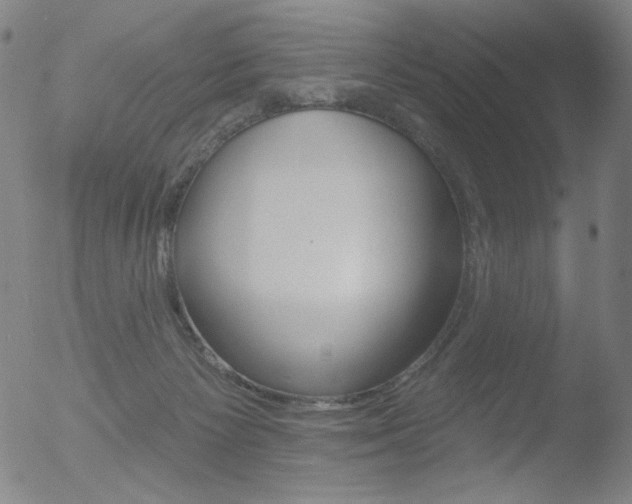 X0000052940125200507081154