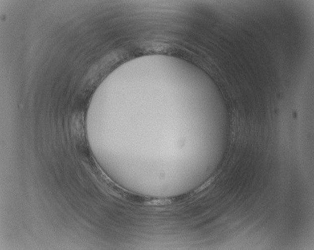 X0000052940126200507081154