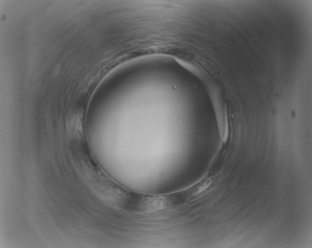 X0000052940127200507081154