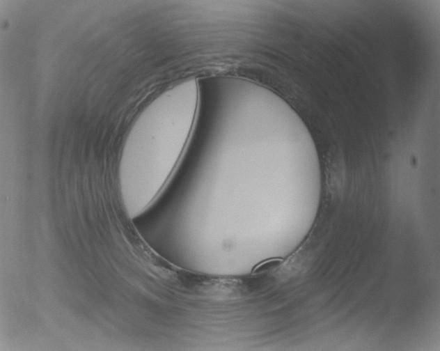 X0000052940128200507081154