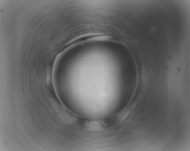 X0000052940129200507081154