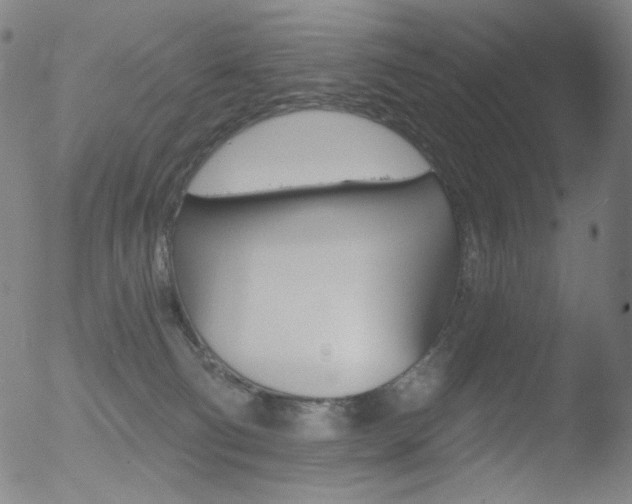 X0000052940130200507081154