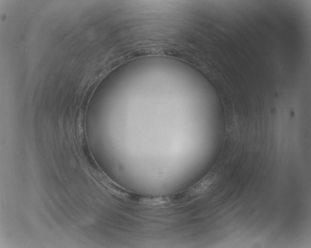 X0000052940131200507081154