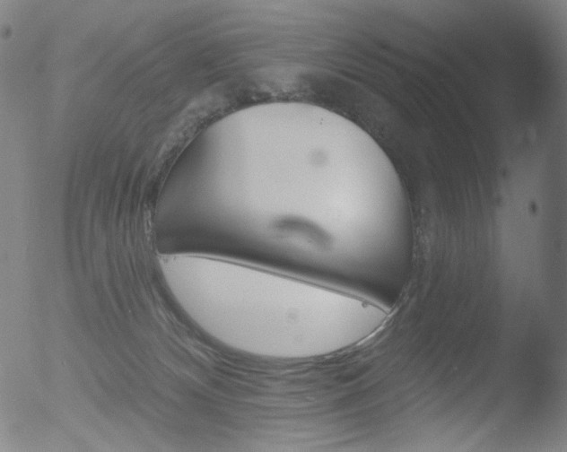 X0000052940132200507081154