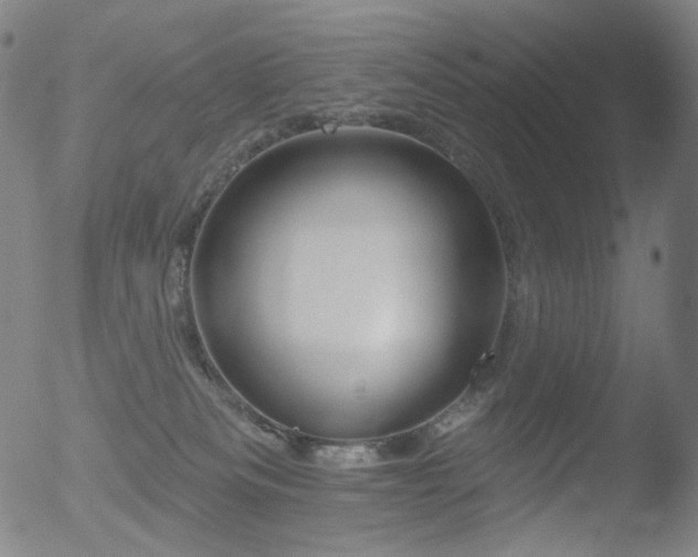 X0000052940133200507081154