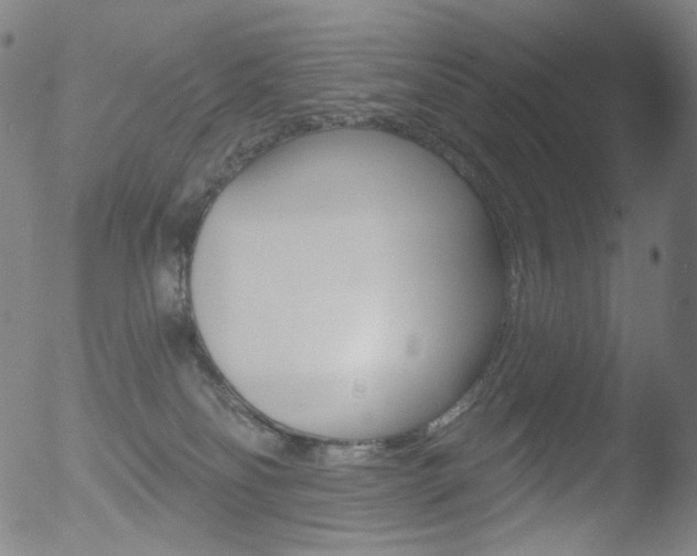 X0000052940134200507081154