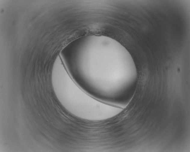 X0000052940135200507081154