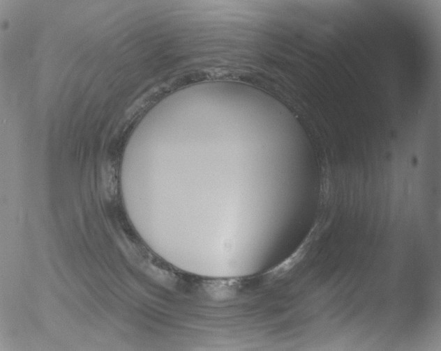 X0000052940136200507081154