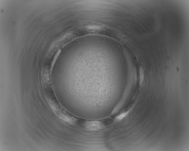 X0000052940137200507081154