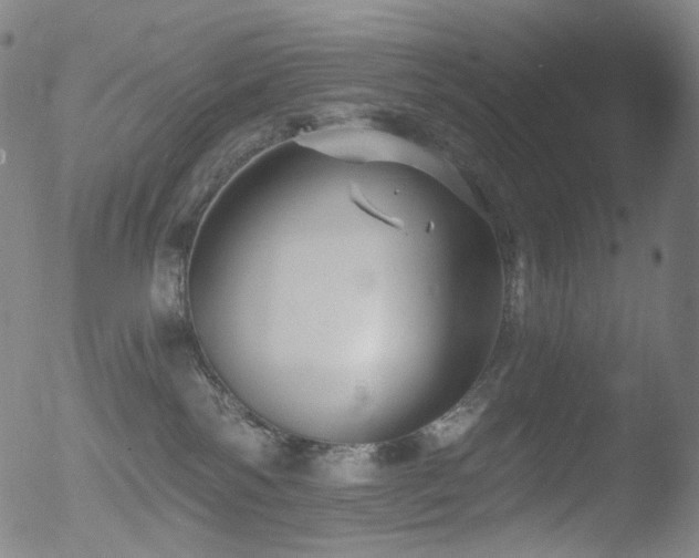 X0000052940138200507081154