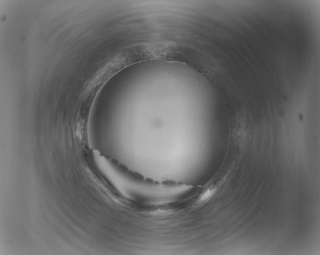 X0000052940139200507081154