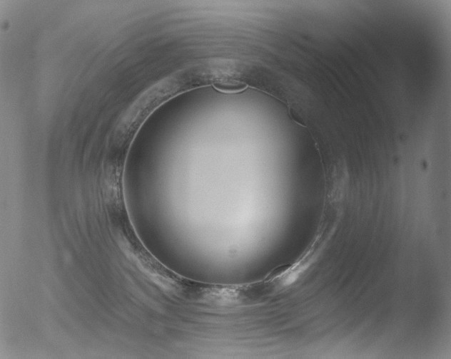 X0000052940140200507081154