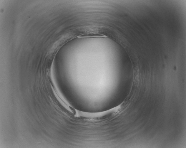 X0000052940141200507081153