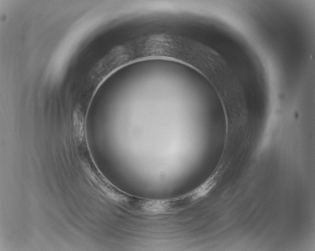 X0000052940142200507081153