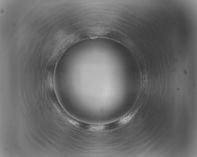 X0000052940143200507081153