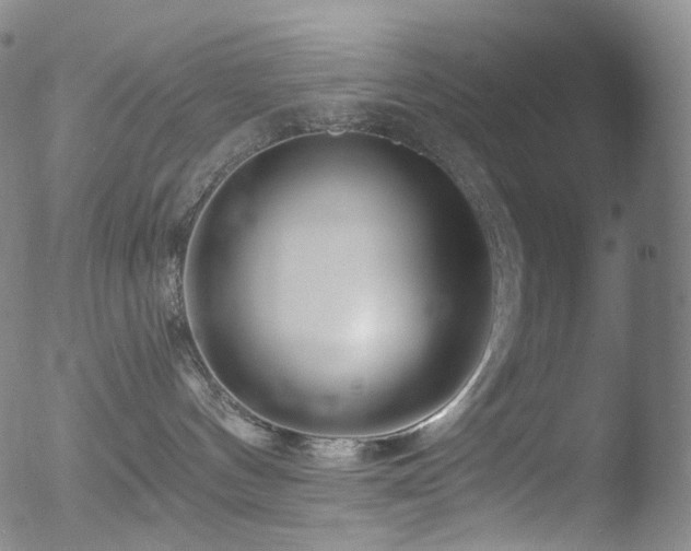 X0000052940144200507081153