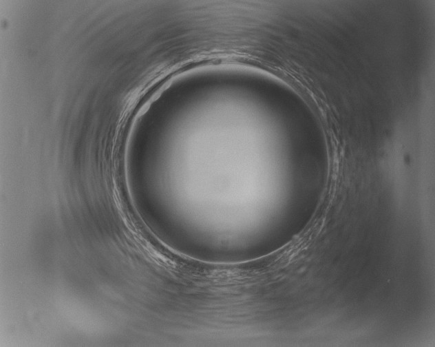 X0000052940145200507081153