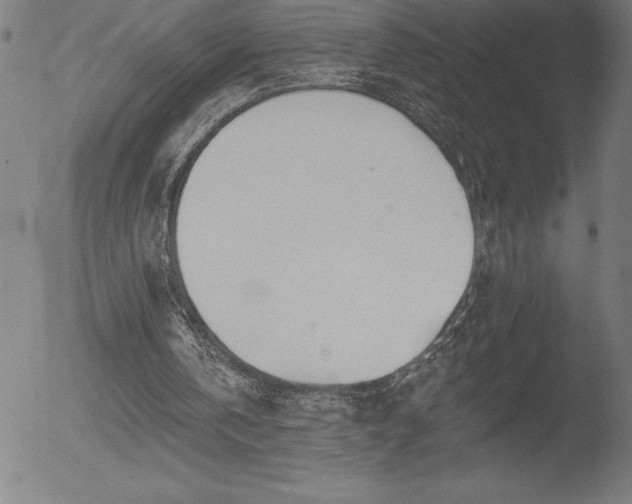 X0000052940146200507081153