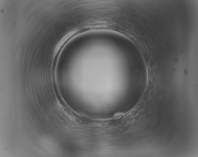 X0000052940147200507081153