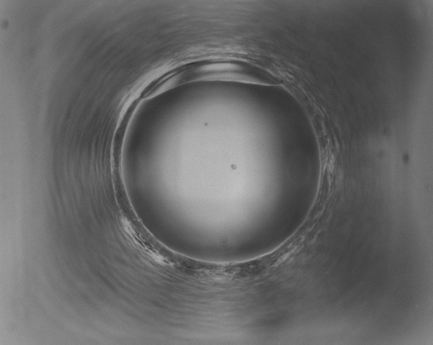 X0000052940148200507081153