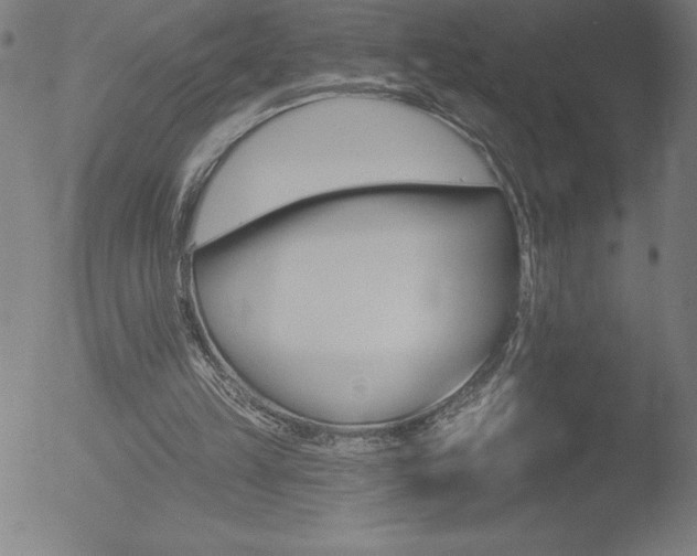 X0000052940149200507081153