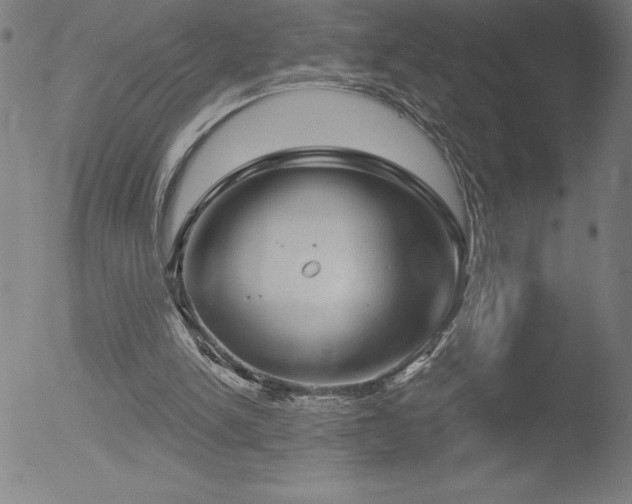 X0000052940150200507081153