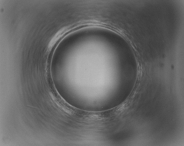 X0000052940151200507081153