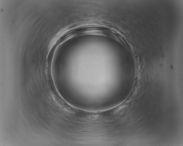 X0000052940152200507081153