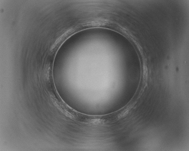 X0000052940153200507081153