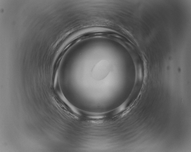 X0000052940154200507081153