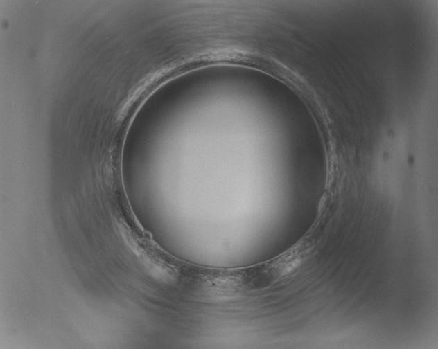 X0000052940155200507081153