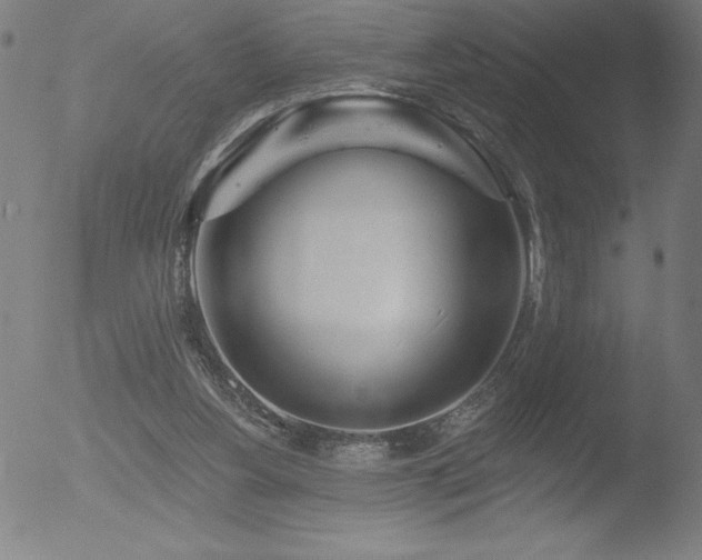 X0000052940156200507081153