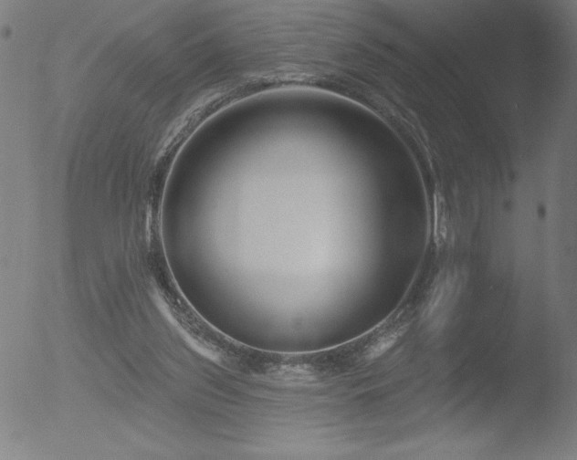 X0000052940157200507081153